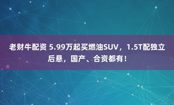 老财牛配资 5.99万起买燃油SUV，1.5T配独立后悬，国产、合资都有！